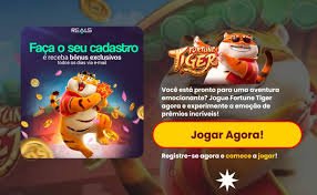 333bet bd